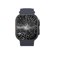 Apple Watch Displaytausch
