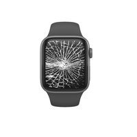 Apple Watch Displaytausch