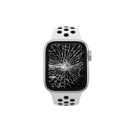 Apple Watch Displaytausch