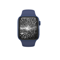 Apple Watch Displaytausch