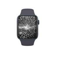 Apple Watch Displaytausch