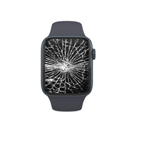 Apple Watch Displaytausch