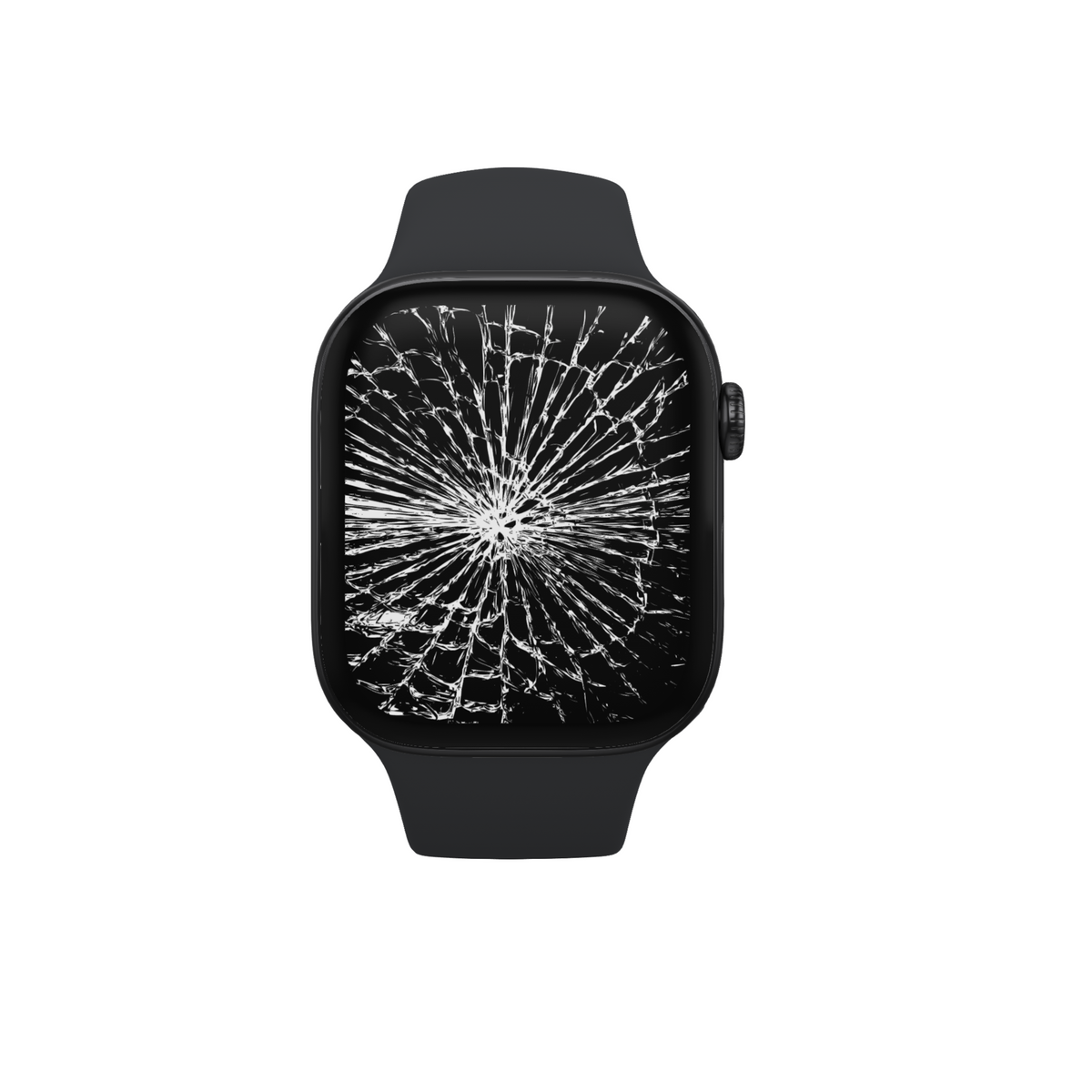 Apple Watch Displaytausch