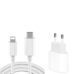 Ladeset USB-C passt für iPhone 14 / 13 / 12 / 11 / Pro / Max / Mini / XS / XR / SE 2020 [Netzteil+Ladekabel]